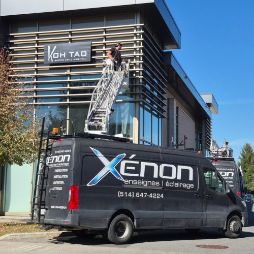 xenonimages1